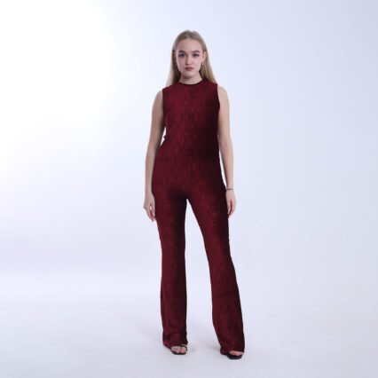 Velvet Jump Suit